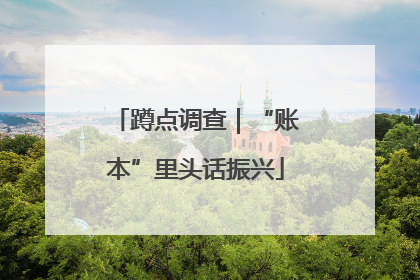 蹲点调查｜“账本”里头话振兴