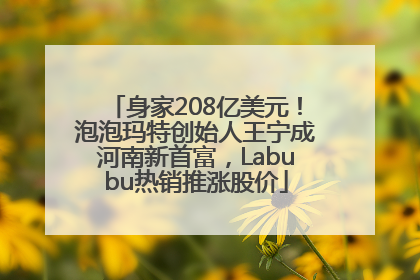 身家208亿美元！泡泡玛特创始人王宁成河南新首富，Labubu热销推涨股价