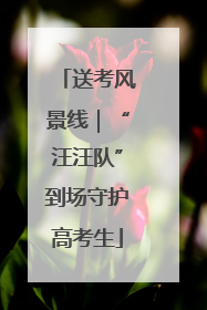 送考风景线｜“汪汪队”到场守护高考生