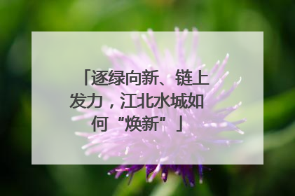 逐绿向新、链上发力，江北水城如何“焕新”