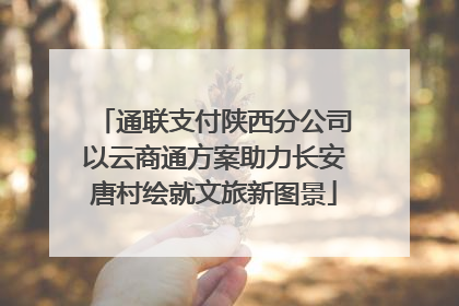 通联支付陕西分公司以云商通方案助力长安唐村绘就文旅新图景
