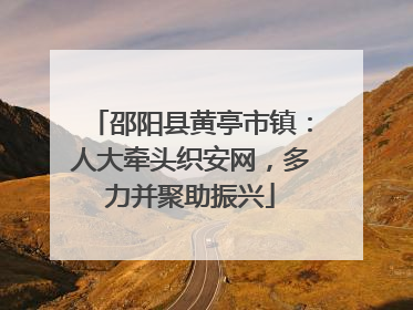 邵阳县黄亭市镇：人大牵头织安网，多力并聚助振兴