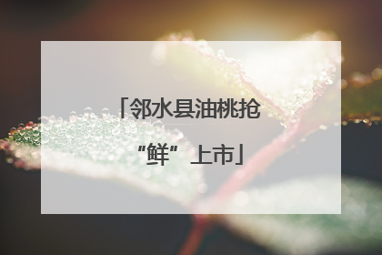 邻水县油桃抢“鲜”上市