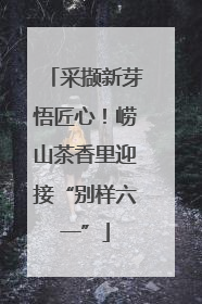 采撷新芽悟匠心！崂山茶香里迎接“别样六一”