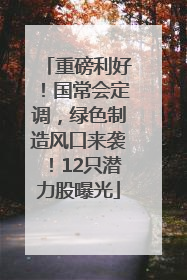 重磅利好！国常会定调，绿色制造风口来袭！12只潜力股曝光
