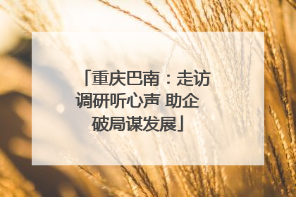 重庆巴南：走访调研听心声 助企破局谋发展