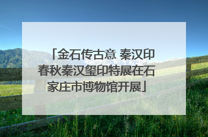金石传古意 秦汉印春秋秦汉玺印特展在石家庄市博物馆开展