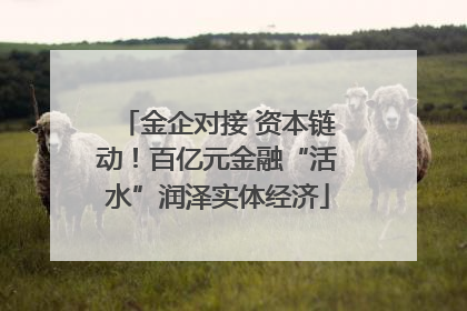 金企对接 资本链动！百亿元金融“活水”润泽实体经济