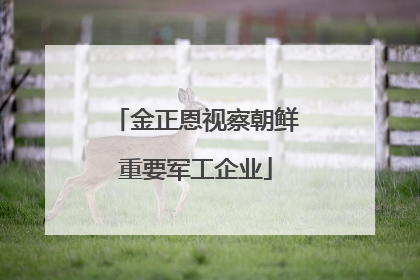 金正恩视察朝鲜重要军工企业