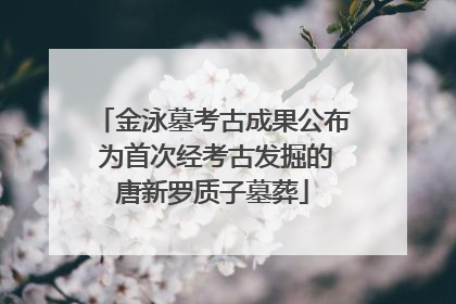 金泳墓考古成果公布 为首次经考古发掘的唐新罗质子墓葬
