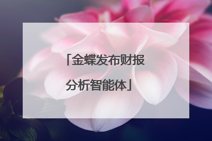 金蝶发布财报分析智能体