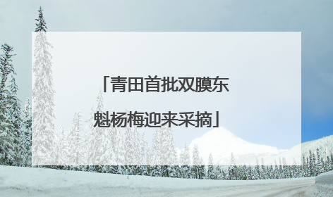 青田首批双膜东魁杨梅迎来采摘