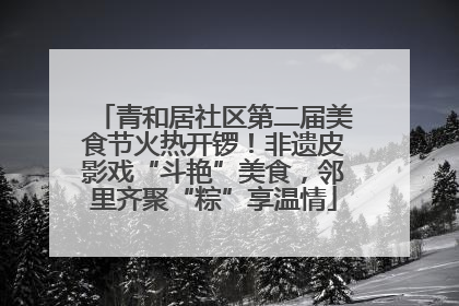 青和居社区第二届美食节火热开锣！非遗皮影戏“斗艳”美食，邻里齐聚“粽”享温情