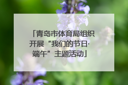 青岛市体育局组织开展“我们的节日·端午”主题活动