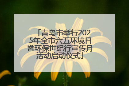 青岛市举行2025年全市六五环境日暨环保世纪行宣传月活动启动仪式