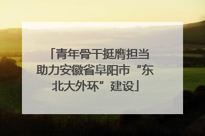 青年骨干挺膺担当 助力安徽省阜阳市“东北大外环”建设