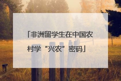 非洲留学生在中国农村学“兴农”密码
