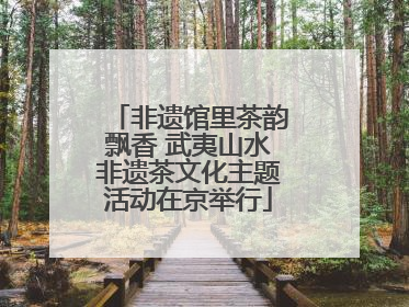 非遗馆里茶韵飘香 武夷山水非遗茶文化主题活动在京举行