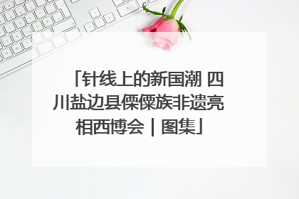 针线上的新国潮 四川盐边县傈僳族非遗亮相西博会｜图集