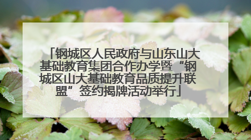 钢城区人民政府与山东山大基础教育集团合作办学暨“钢城区山大基础教育品质提升联盟”签约揭牌活动举行