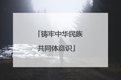 铸牢中华民族共同体意识