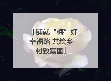 铺就“梅”好幸福路 共绘乡村致富图