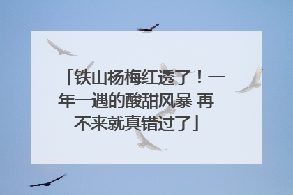 铁山杨梅红透了！一年一遇的酸甜风暴 再不来就真错过了