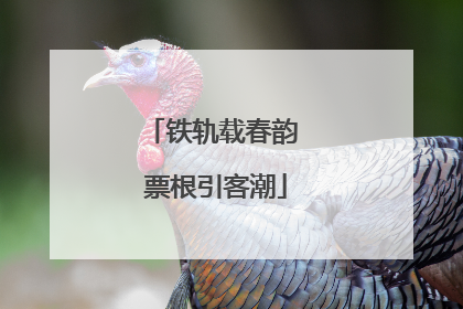 铁轨载春韵 票根引客潮