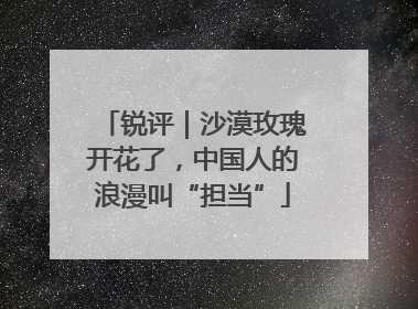 锐评｜沙漠玫瑰开花了，中国人的浪漫叫“担当”