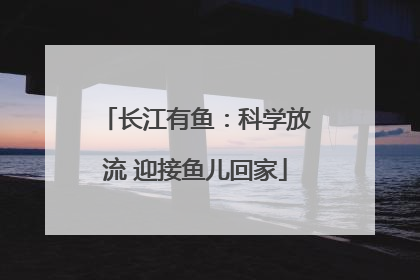 长江有鱼：科学放流 迎接鱼儿回家