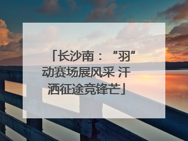 长沙南：“羽”动赛场展风采 汗洒征途竞锋芒