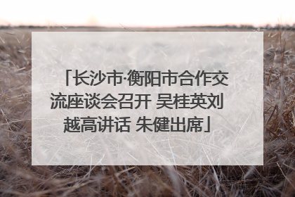 长沙市·衡阳市合作交流座谈会召开 吴桂英刘越高讲话 朱健出席