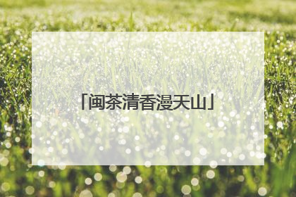 闽茶清香漫天山