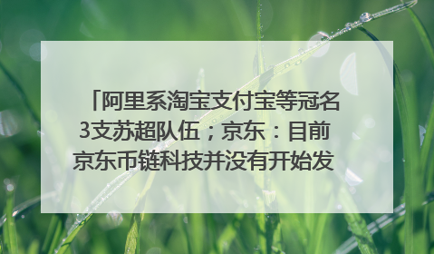 阿里系淘宝支付宝等冠名3支苏超队伍；京东：目前京东币链科技并没有开始发行稳定币｜早资道