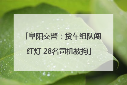 阜阳交警：货车组队闯红灯 28名司机被拘