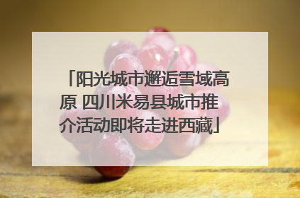 阳光城市邂逅雪域高原 四川米易县城市推介活动即将走进西藏