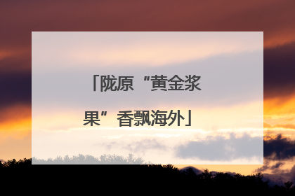 陇原“黄金浆果”香飘海外