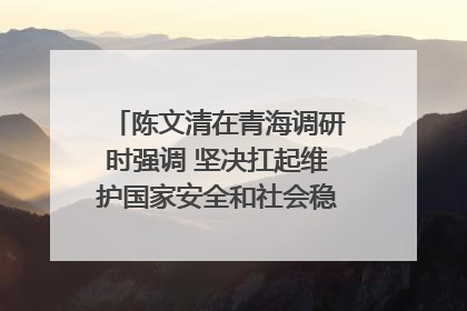 陈文清在青海调研时强调 坚决扛起维护国家安全和社会稳定职责使命 为谱写中国式现代化青海篇章贡献政法力量