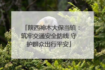 陕西神木大保当镇：筑牢交通安全防线 守护群众出行平安