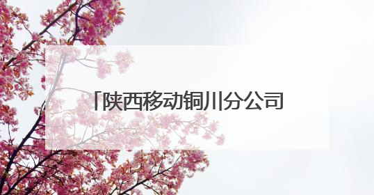 陕西移动铜川分公司：以“陕耀”党建品牌为引擎 绘就文明单位创建新画卷——全国文明单位创建纪实