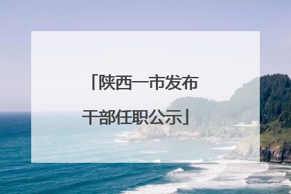 陕西一市发布干部任职公示