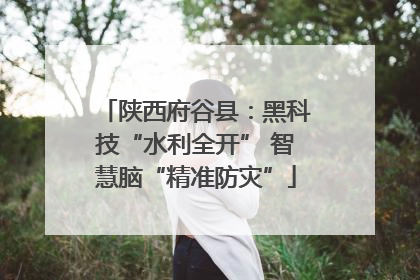 陕西府谷县：黑科技“水利全开” 智慧脑“精准防灾”