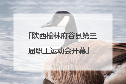 陕西榆林府谷县第三届职工运动会开幕
