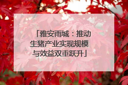 雅安雨城：推动生猪产业实现规模与效益双重跃升