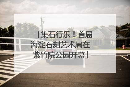 集石行乐！首届海淀石刻艺术周在紫竹院公园开幕