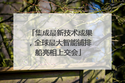 集成最新技术成果，全球最大智能铺排船亮相上交会