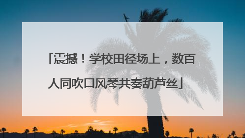 震撼！学校田径场上，数百人同吹口风琴共奏葫芦丝