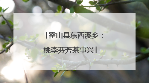 霍山县东西溪乡：桃李芬芳茶事兴