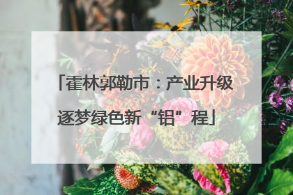 霍林郭勒市：产业升级逐梦绿色新“铝”程