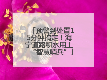 预警到处置15分钟搞定！海宁道路积水用上“智慧哨兵”